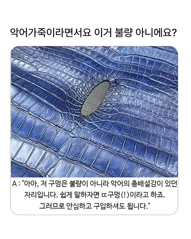 불량 악어 가죽
