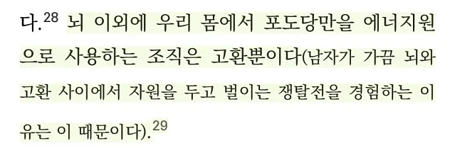 뇌가 하반신에 지배당하는 남자가 나오는 이유