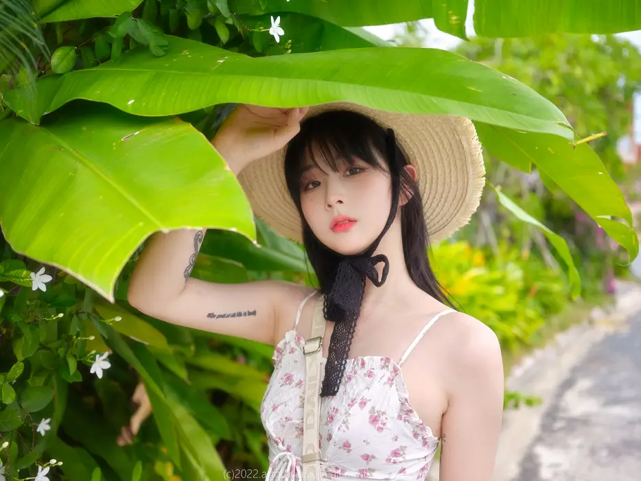 장주 Vol.466 아트그라비아 Set.01