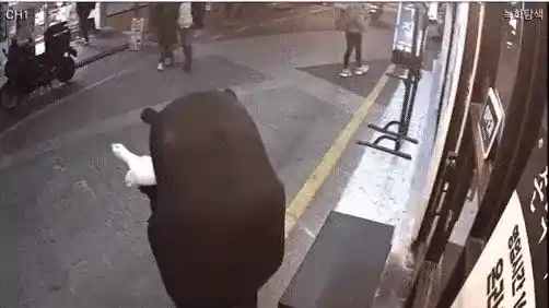 하남자 개저씨