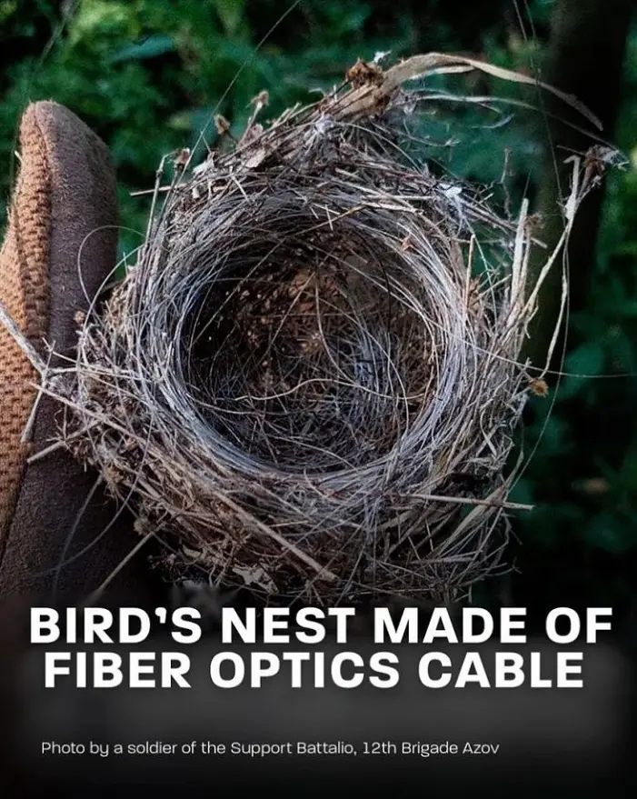 러우전으로 인해 일어나는 현상