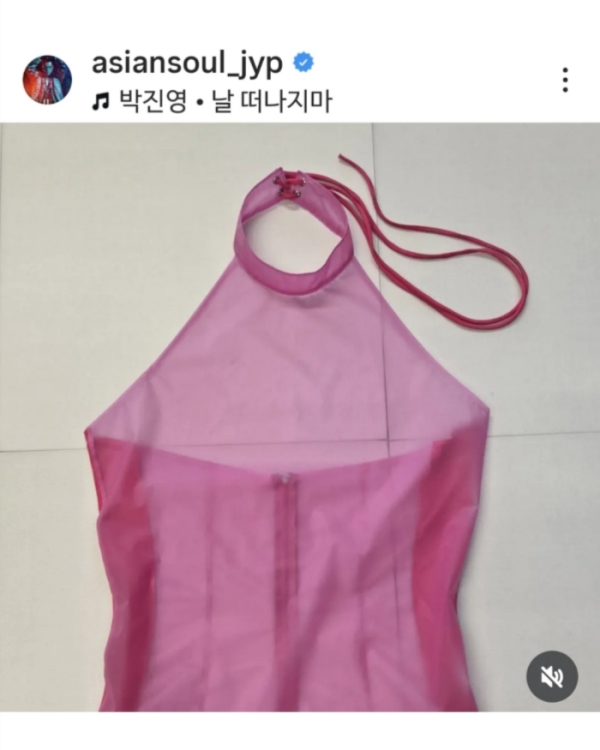 핑크 시스루 입고 워터밤 무대 찢었다